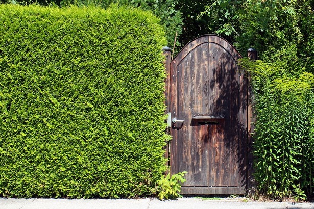 back-garden-privacy-ideas-82_14 Назад идеи за поверителност на градината