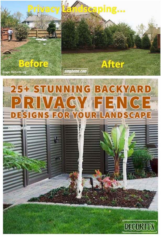 backyard-privacy-landscaping-12 Озеленяване на задния двор