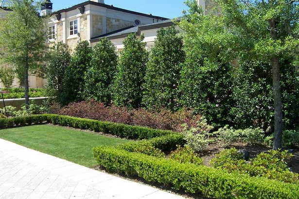 backyard-privacy-landscaping-12_11 Озеленяване на задния двор