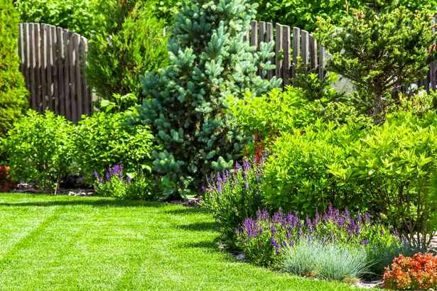 backyard-privacy-landscaping-12_12 Озеленяване на задния двор