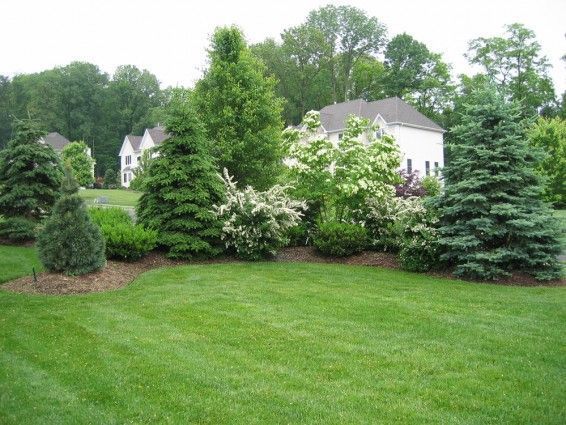 backyard-privacy-landscaping-12_13 Озеленяване на задния двор