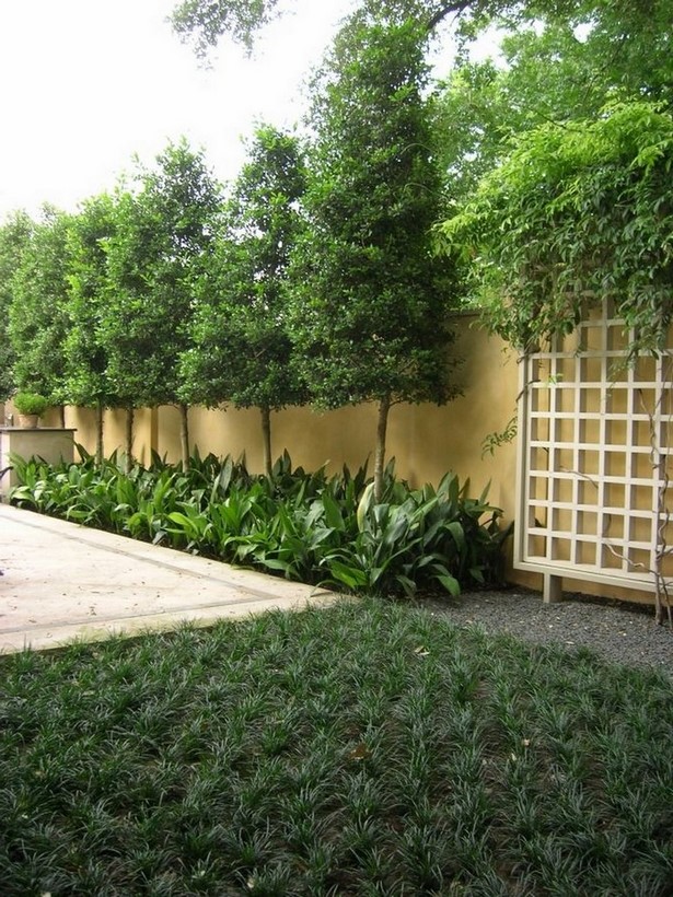 backyard-privacy-landscaping-12_7 Озеленяване на задния двор