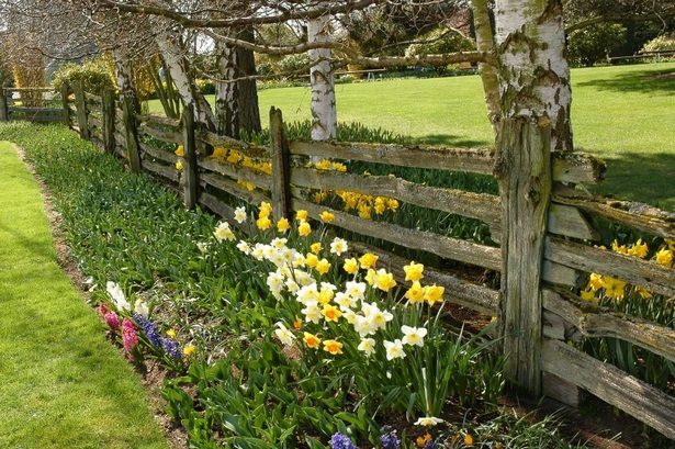 beautiful-garden-fence-ideas-69_5 Красива градина ограда идеи