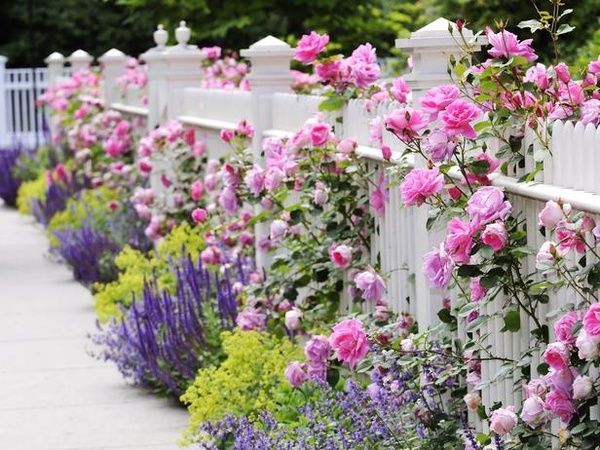beautiful-garden-fences-29_2 Красиви градински огради