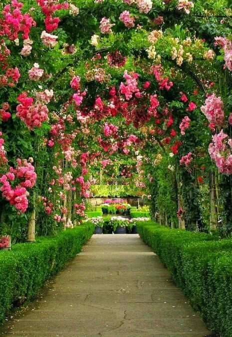 beautiful-garden-walkways-88 Красиви градински пътеки