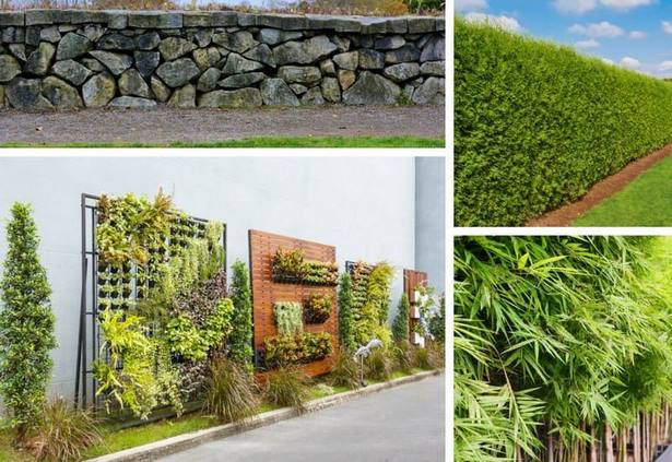 create-a-privacy-fence-with-plants-75_5 Създайте ограда за поверителност с растения