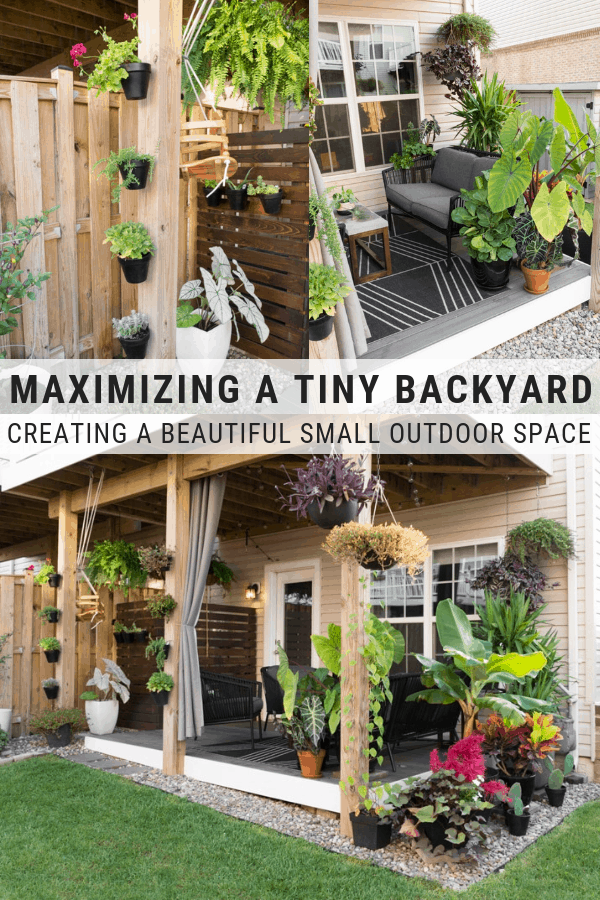 creating-privacy-in-small-backyard-12 Създаване на поверителност в малък заден двор