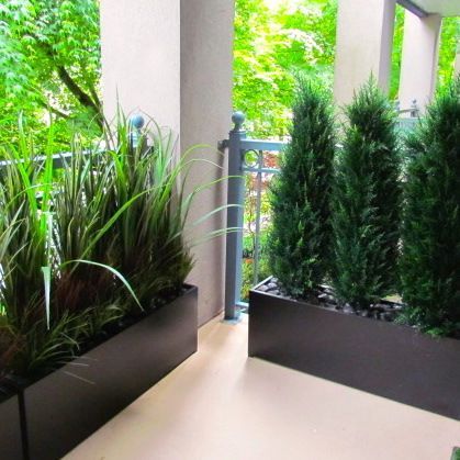 deck-privacy-ideas-using-plants-10_9 Идеи за поверителност на палубата, използващи растения