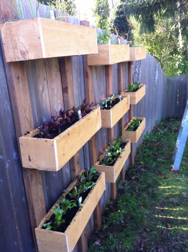 fence-hanging-herb-garden-56 Ограда висящи билки градина