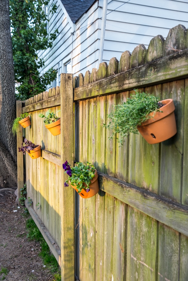 fence-hanging-herb-garden-56_12 Ограда висящи билки градина