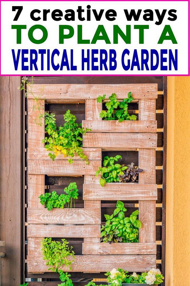 fence-hanging-herb-garden-56_6 Ограда висящи билки градина