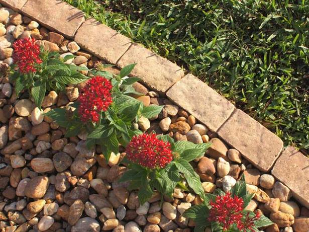 flower-bed-edging-with-rocks-54_8 Цветно легло кант с камъни