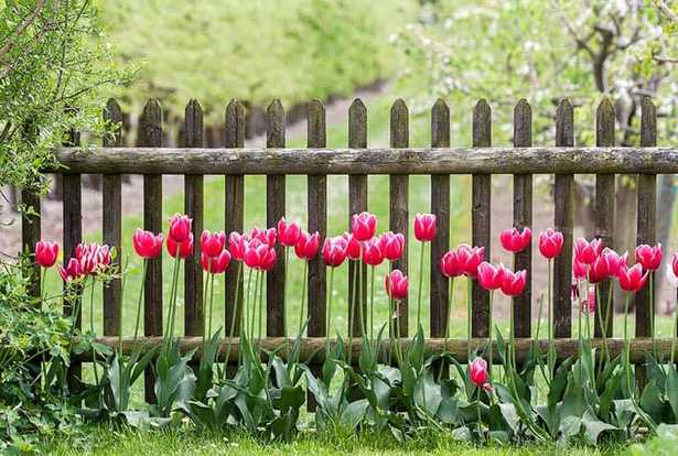 flower-bed-fence-designs-54_16 Цветни лехи ограда дизайни
