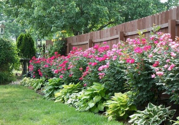 flower-bed-fence-designs-54_4 Цветни лехи ограда дизайни