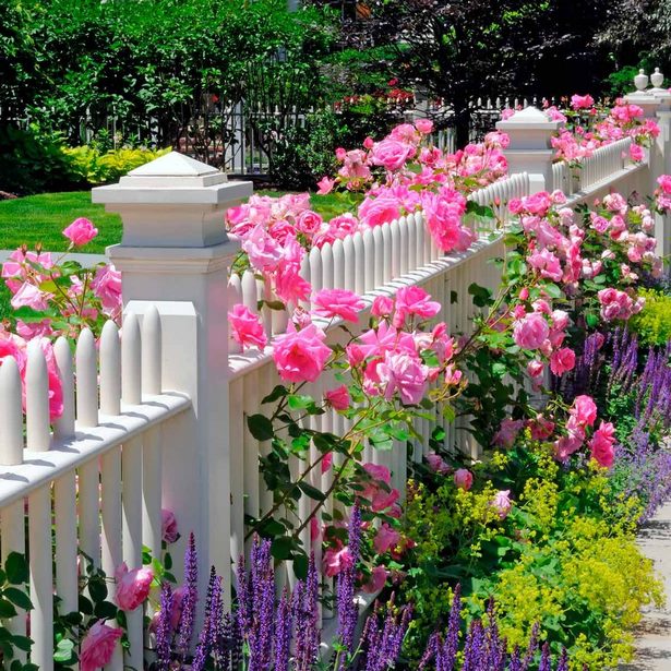 flower-garden-fence-designs-12_13 Цветна градина ограда дизайни