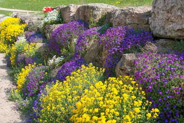 flower-garden-ideas-with-rocks-05_15 Идеи за цветна градина с камъни