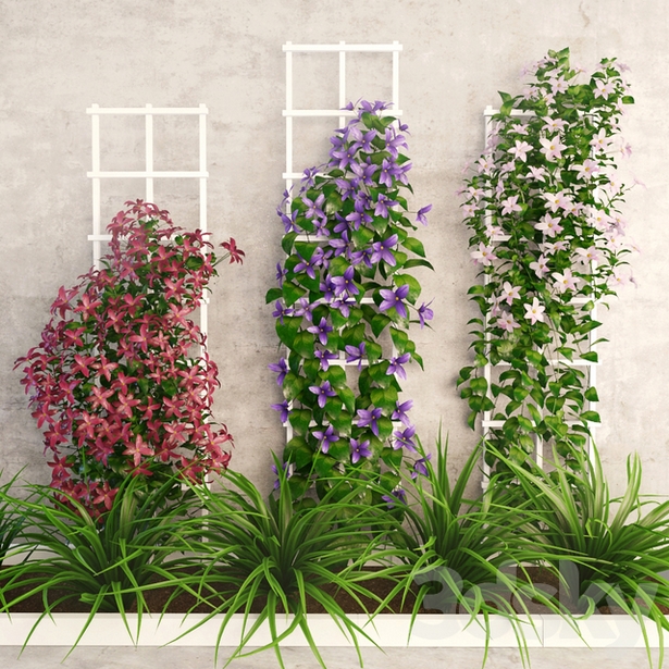 flower-garden-wall-66 Цветна градина стена