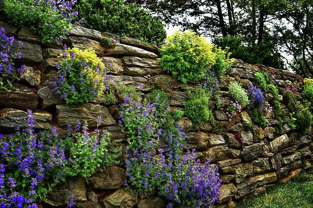 flower-garden-wall-66_2 Цветна градина стена