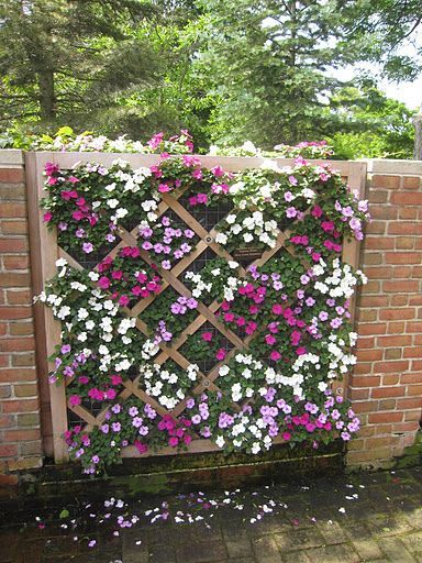 flower-garden-wall-66_7 Цветна градина стена