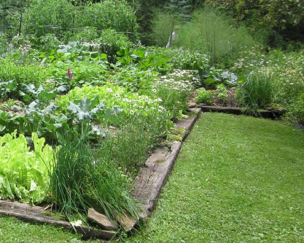 garden-edging-plant-ideas-97_3 Градински кантове идеи за растения