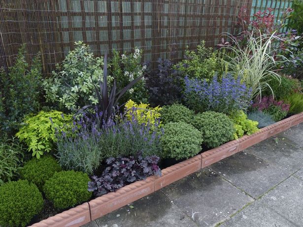 garden-edging-plant-ideas-97_3 Градински кантове идеи за растения