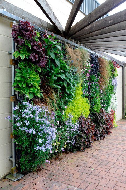 garden-ideas-against-a-wall-15_8 Градински идеи срещу стена