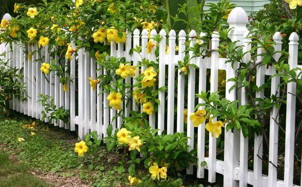 garden-ideas-fence-borders-80_5 Градински идеи ограда граници