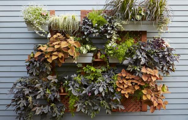 garden-wall-planter-ideas-78 Градина стена плантатор идеи
