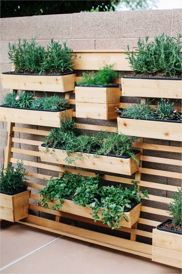 garden-wall-planter-ideas-78_19 Градина стена плантатор идеи