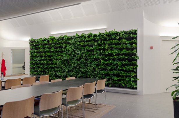 indoor-green-wall-24 Вътрешна зелена стена