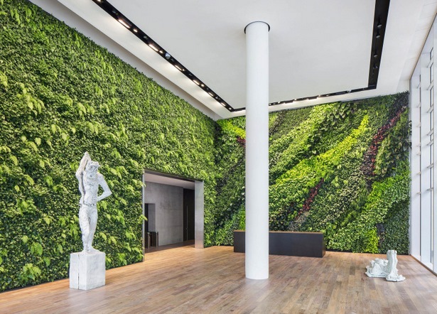 indoor-green-wall-24_10 Вътрешна зелена стена