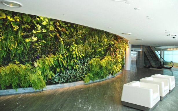 indoor-green-wall-24_13 Вътрешна зелена стена