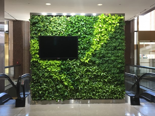 indoor-green-wall-24_4 Вътрешна зелена стена