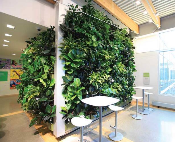 indoor-green-wall-24_6 Вътрешна зелена стена