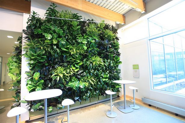 indoor-green-wall-24_7 Вътрешна зелена стена