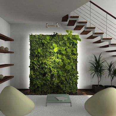 indoor-green-wall-24_9 Вътрешна зелена стена