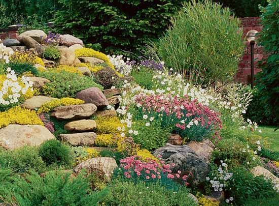 landscaping-with-rocks-and-flowers-64_11 Озеленяване с камъни и цветя
