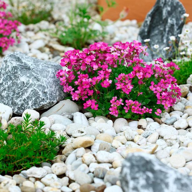 landscaping-with-rocks-and-flowers-64_13 Озеленяване с камъни и цветя