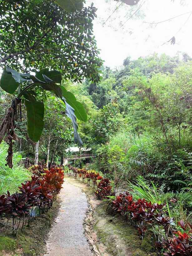 natural-garden-paths-87 Естествени градински пътеки