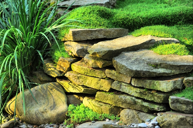 natural-rock-landscaping-32_6 Естествено скално озеленяване