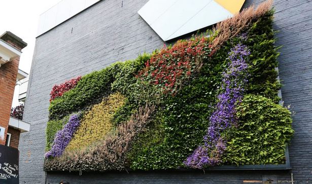 outdoor-flower-wall-98_4 Външна цветна стена