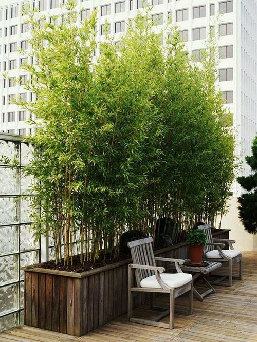patio-privacy-bamboo-51_17 Вътрешен двор поверителност бамбук