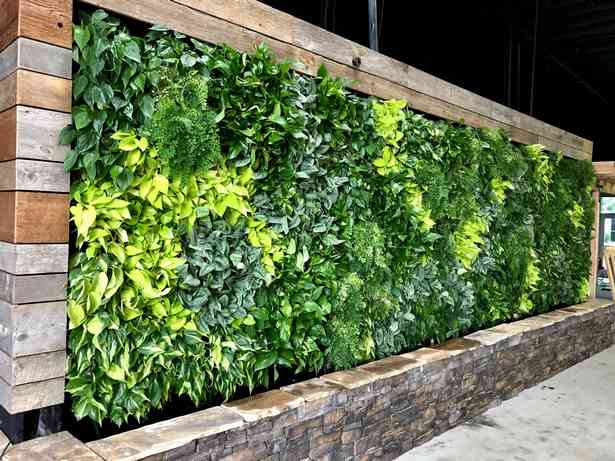 plant-walls-09_6 Растителни стени