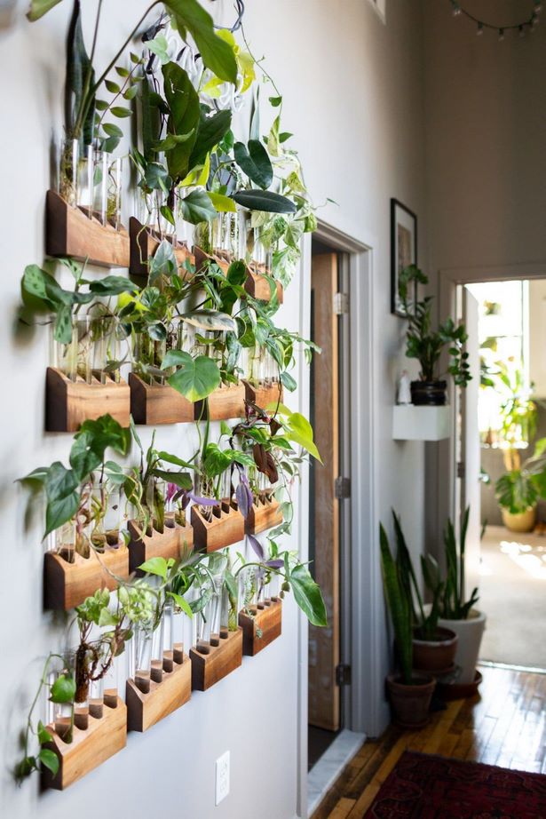 plants-on-wall-ideas-30 Растения на идеи за стени