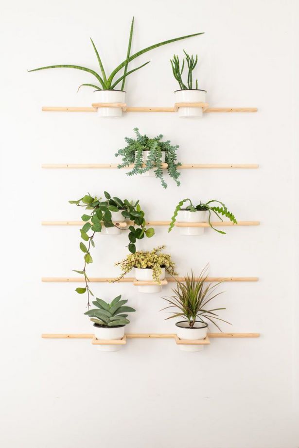 plants-on-wall-ideas-30_14 Растения на идеи за стени
