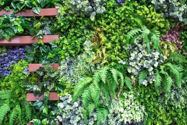 plants-on-wall-ideas-30_16 Растения на идеи за стени
