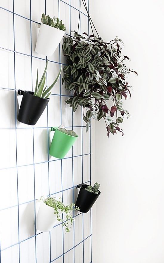 plants-on-wall-ideas-30_19 Растения на идеи за стени