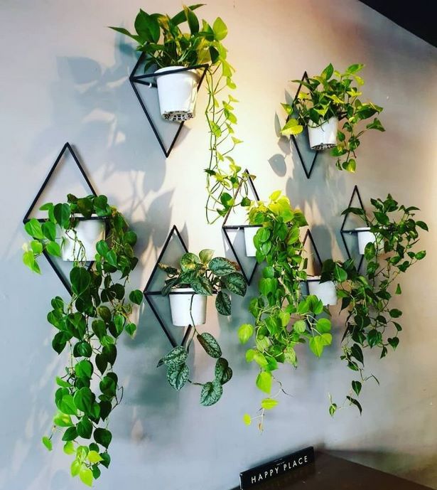 plants-on-wall-ideas-30_2 Растения на идеи за стени