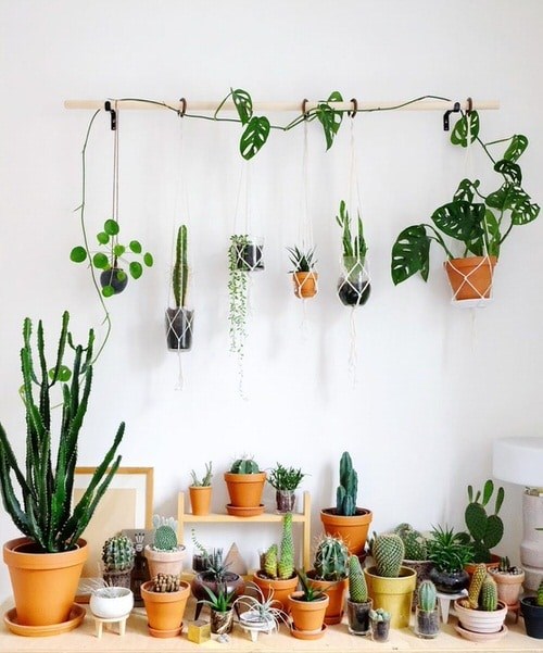 plants-on-wall-ideas-30_20 Растения на идеи за стени