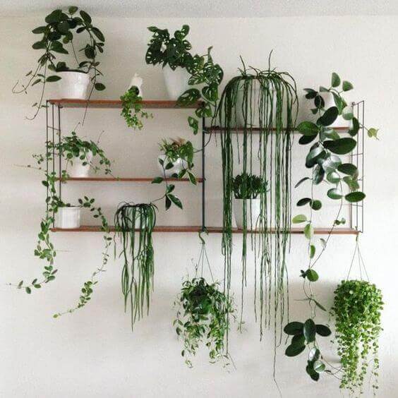 plants-on-wall-ideas-30_3 Растения на идеи за стени